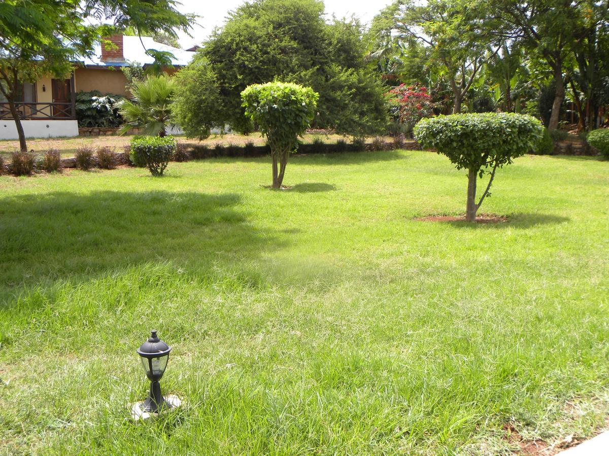 Olea Africana Lodge Karatu Zewnętrze zdjęcie