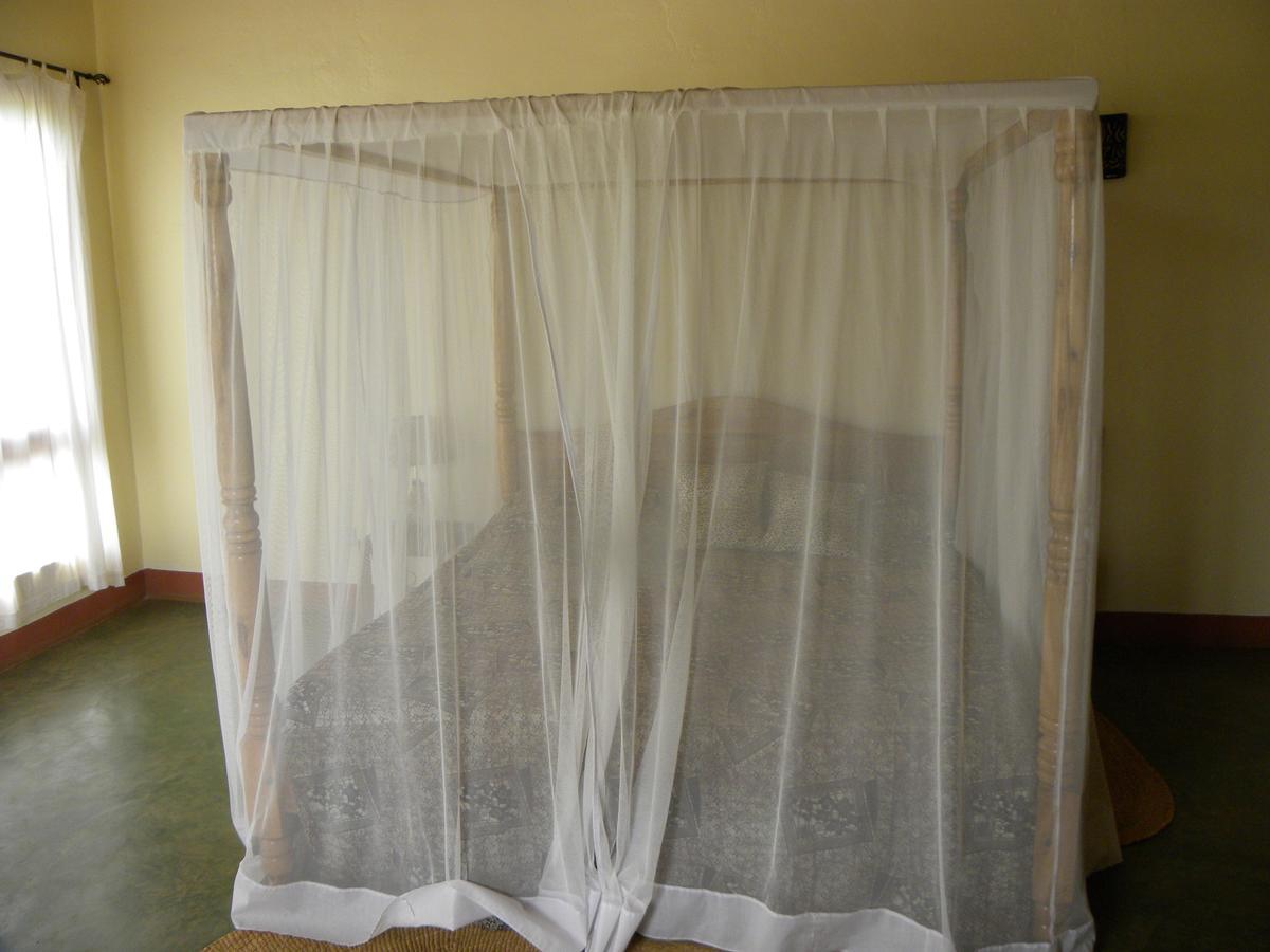 Olea Africana Lodge Karatu Zewnętrze zdjęcie